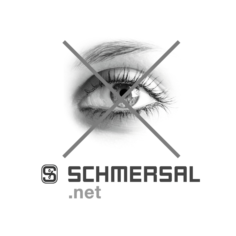 Кнопочный выключатель Schmersal NDLP30GR/BL