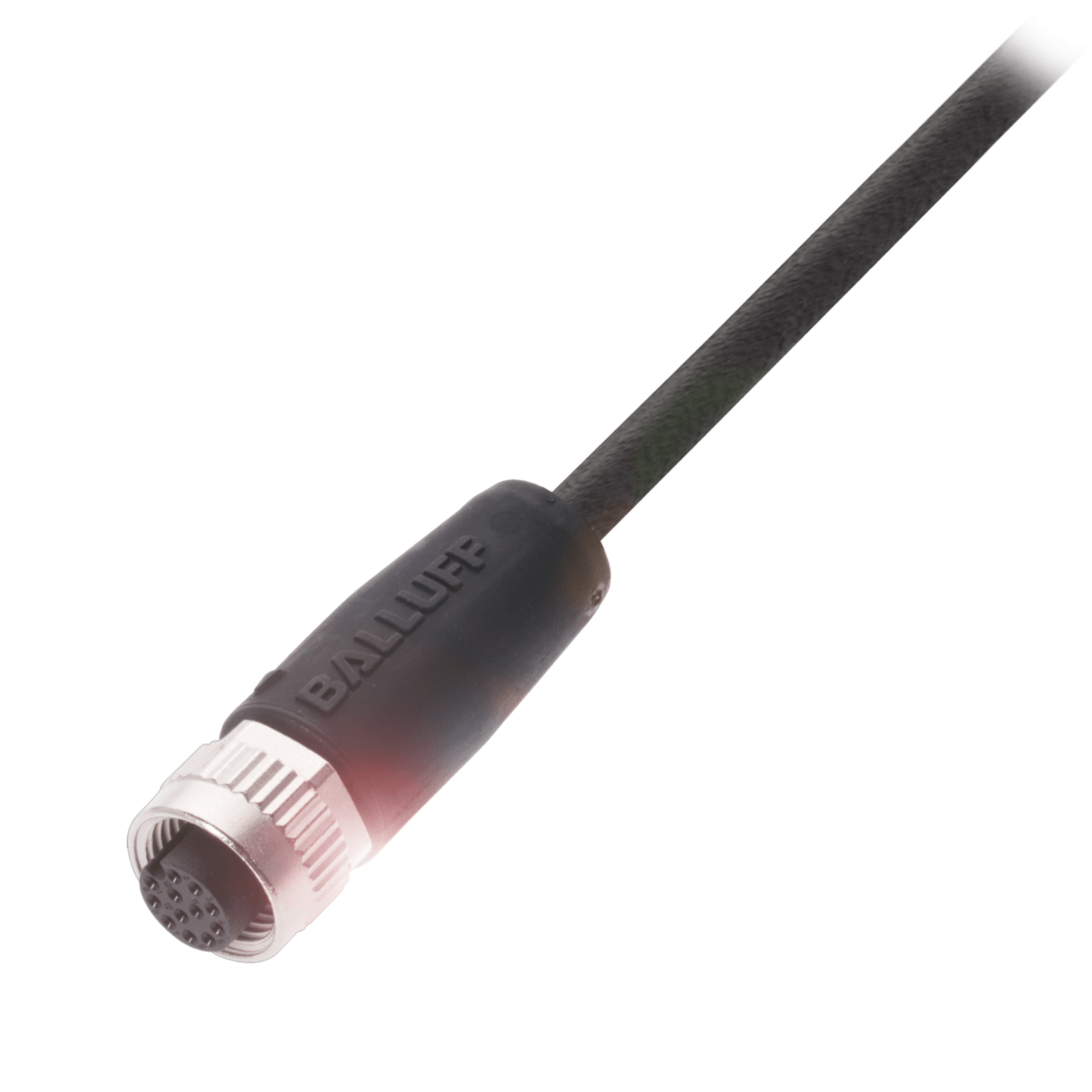 Разъем с кабелем Balluff BCC M41C-0000-1A-049-PX0C25-300