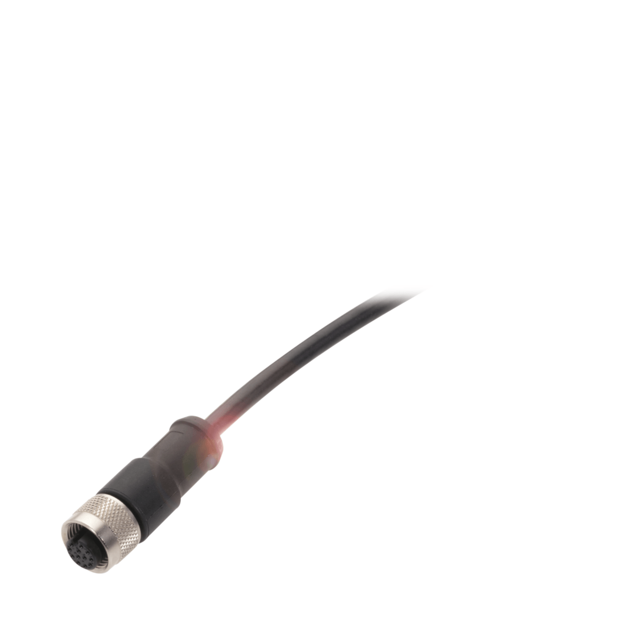 Разъем с кабелем Balluff BCC M41C-0000-1A-169-PS0C25-010-C009