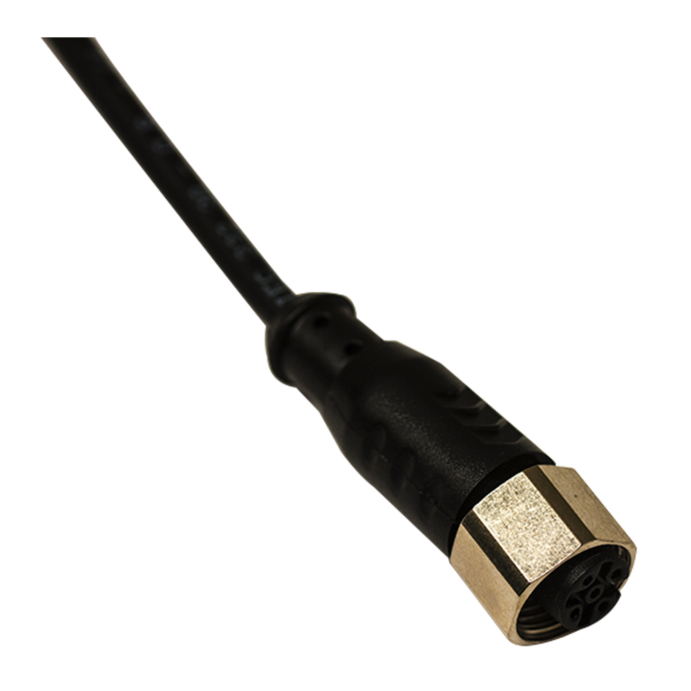 Разъем с кабелем DATASENSING CD12M/AA-100A5
