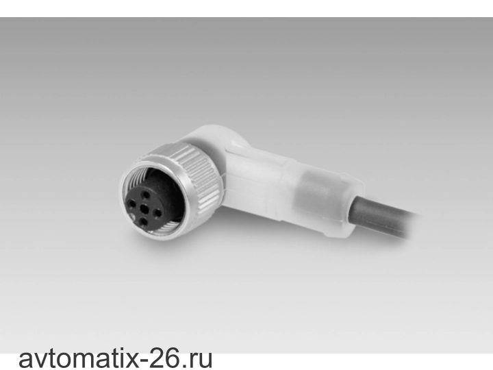Разъем с кабелем Baumer ESW 33SH0500