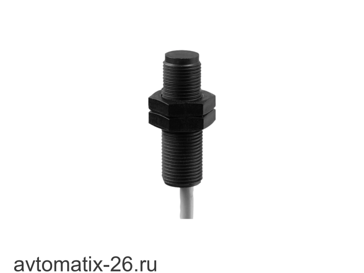 Емкостной датчик уровня Baumer CFAK 12P1103