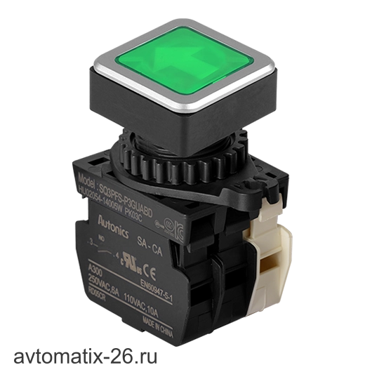 Кнопочный выключатель Autonics SQ3PFS-P3GUABD