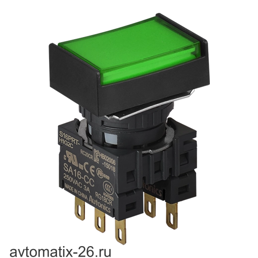 Кнопочный выключатель Autonics S16PRT-H2G2C