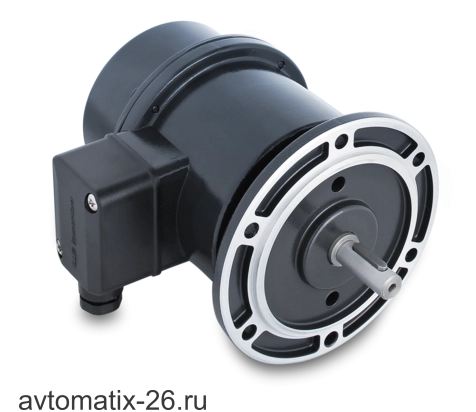 Тахогенератор Baumer TDP0,2 LT-11 B10 55