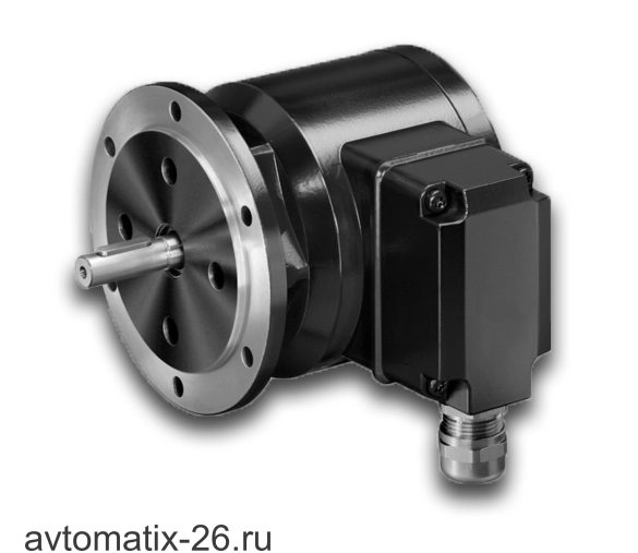 Инкрементальный энкодер Baumer POG10 DN 50 I mit Heizung