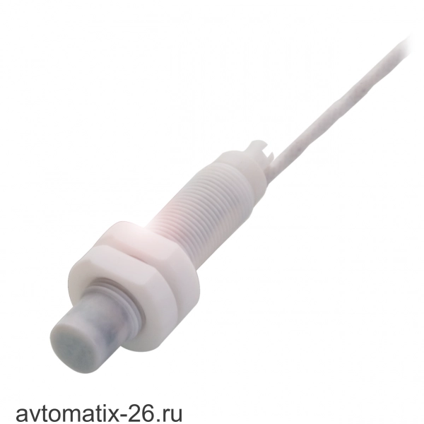 Емкостной датчик уровня Balluff BCS M12TTG1-NSM80G-ET02