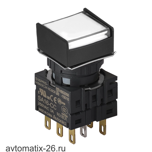 Кнопочный выключатель Autonics S16PRS-H3W2C12