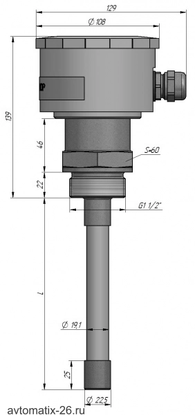 Емкостной уровнемер СЕНСОР ДНЕ-4Т007-110К30