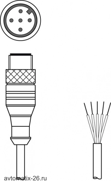 Разъем с кабелем Leuze Electronic CB-M12-10000E-5GM
