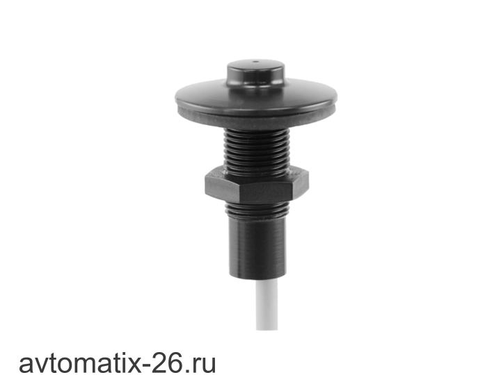 Емкостной датчик уровня Baumer CFAK 12N1140/KS35L