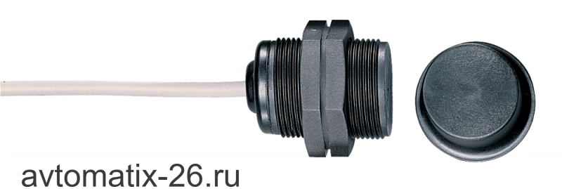 Магнитный датчик безопасности Schmersal BNS303-11ZG-2M