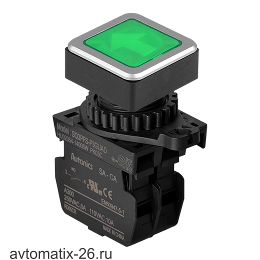 Кнопочный выключатель Autonics SQ3PFS-P3GUAL